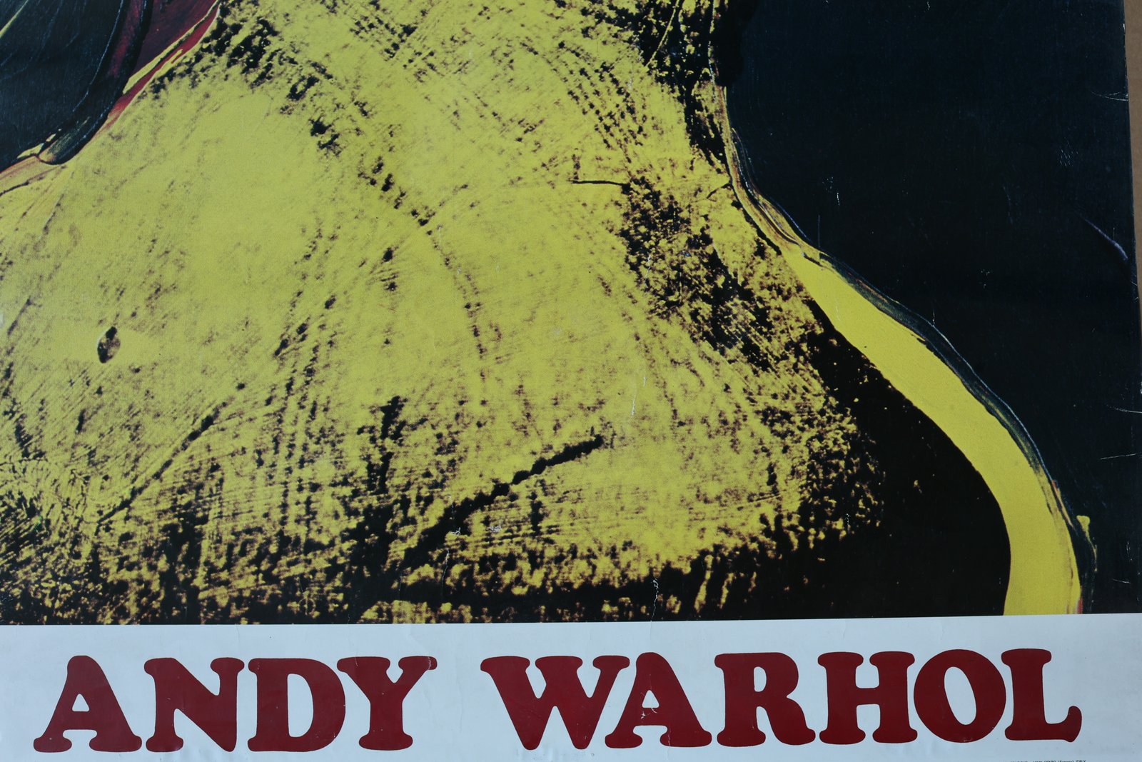 Andy Warhol 1975 Ferrara Exhibition Poster foto 4