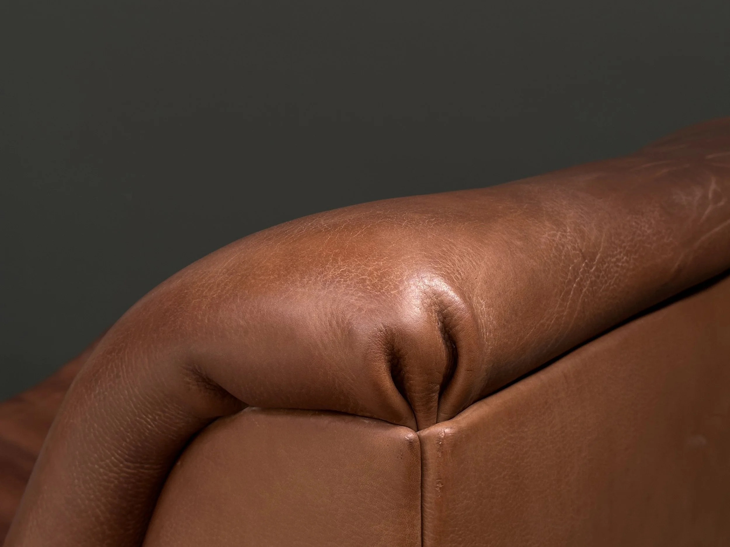 De Sede DS-46 Modular Sofa in Neck Leather foto 2