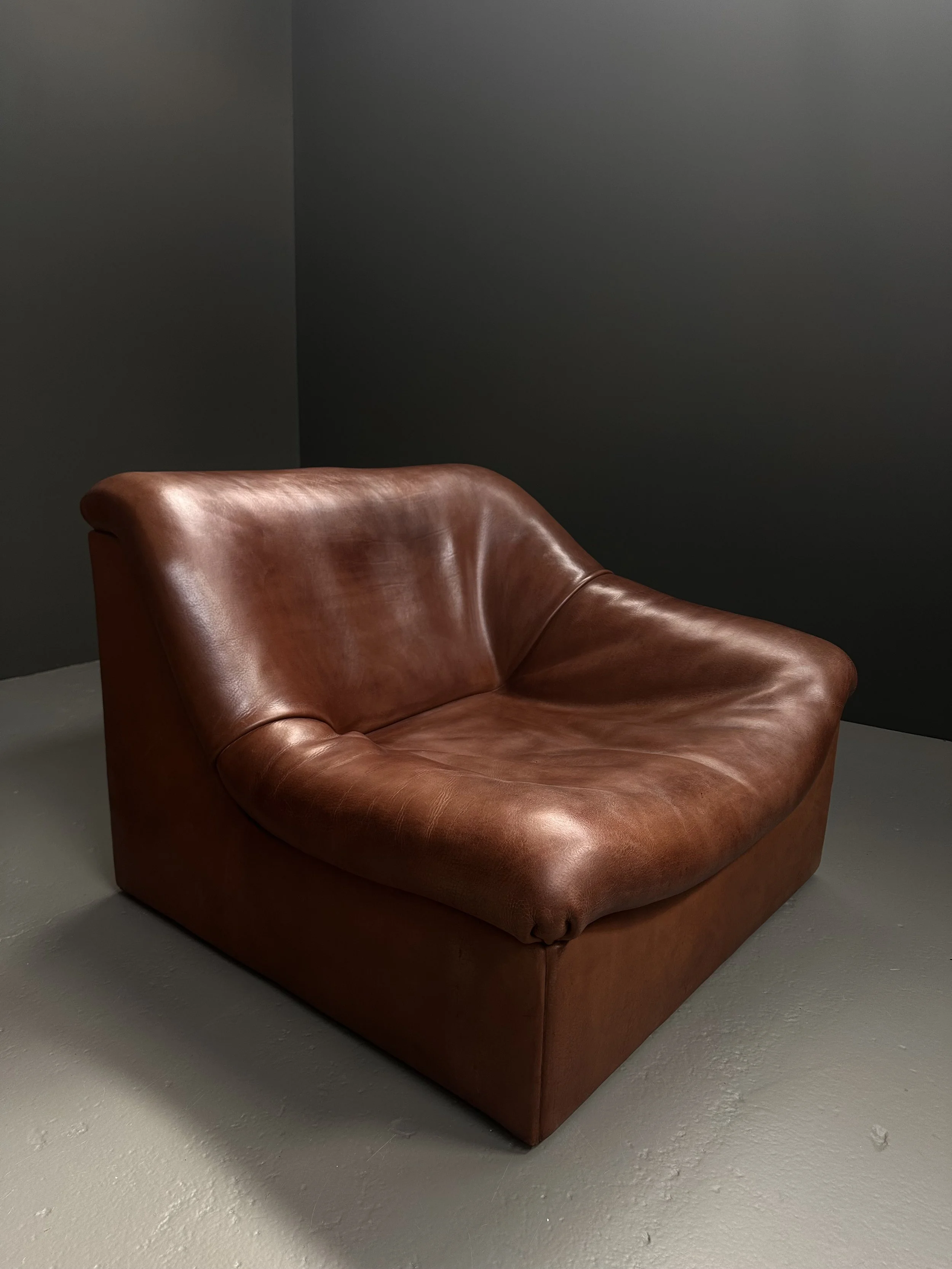 De Sede DS-46 Modular Sofa in Neck Leather foto 6