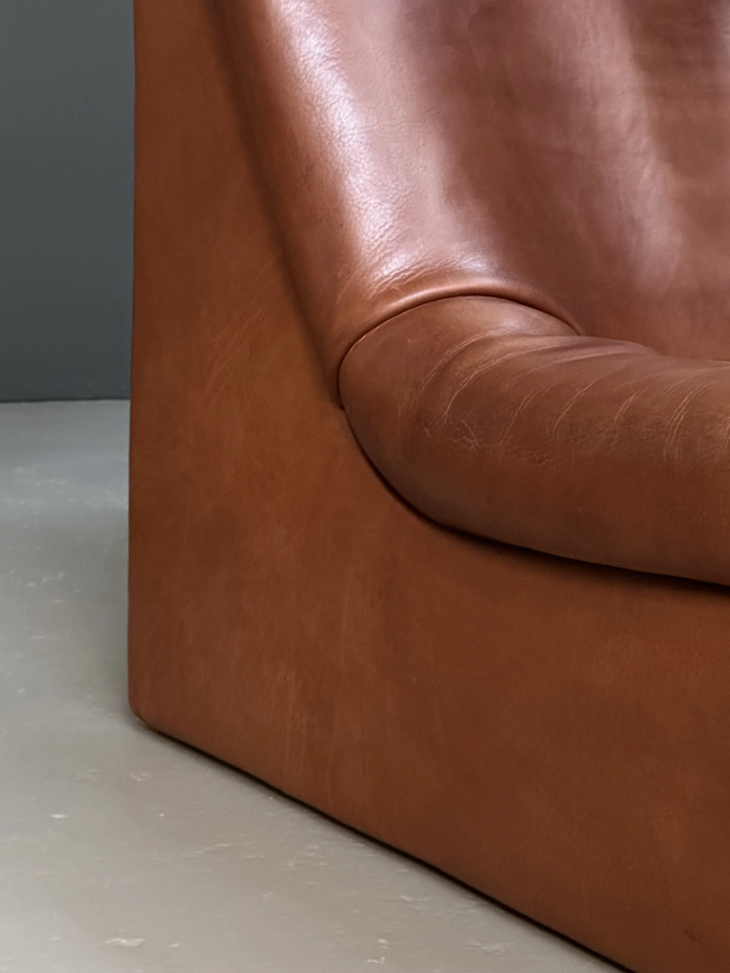 De Sede DS-46 Modular Sofa in Neck Leather foto 7
