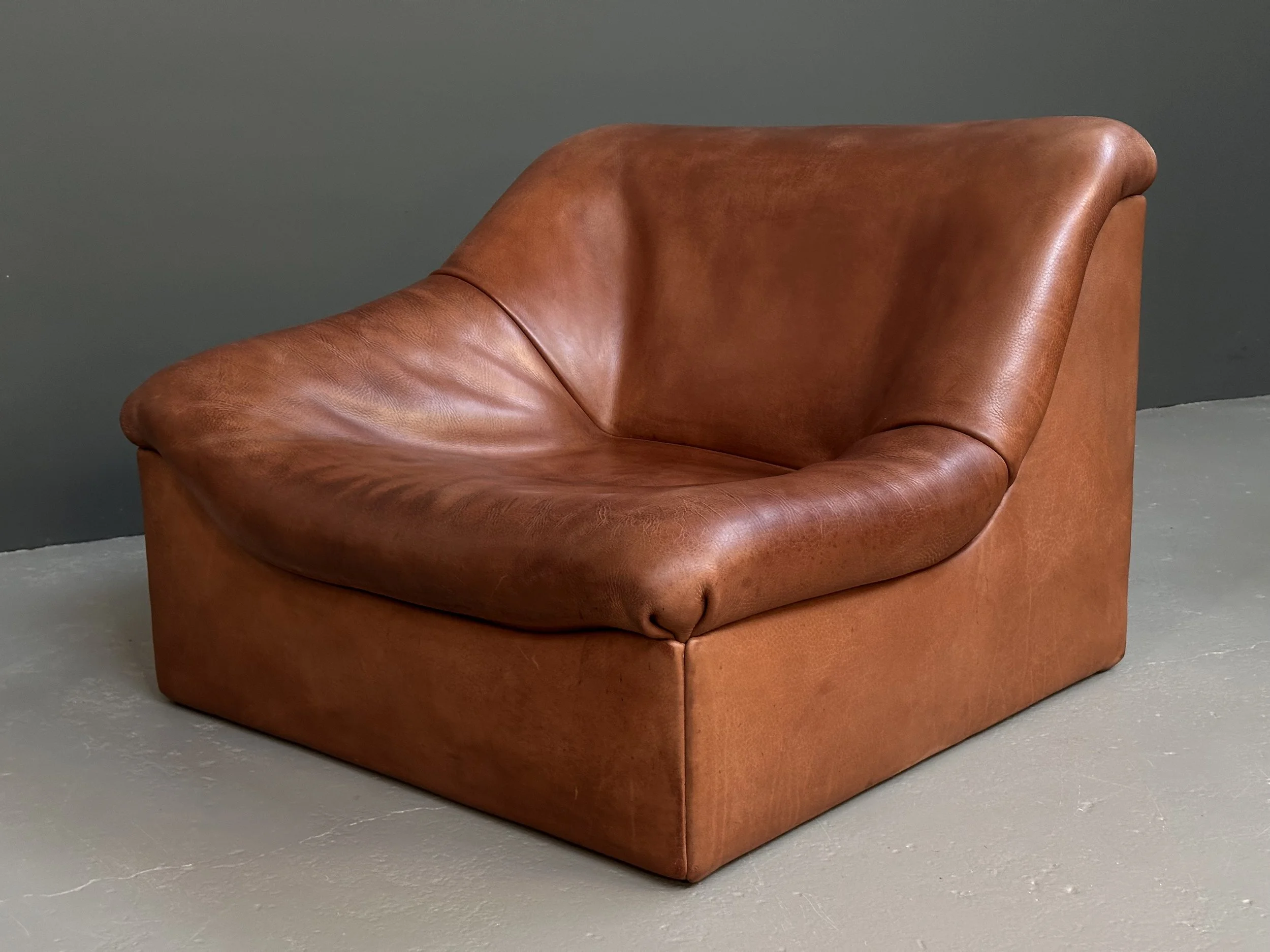De Sede DS-46 Modular Sofa in Neck Leather foto 15