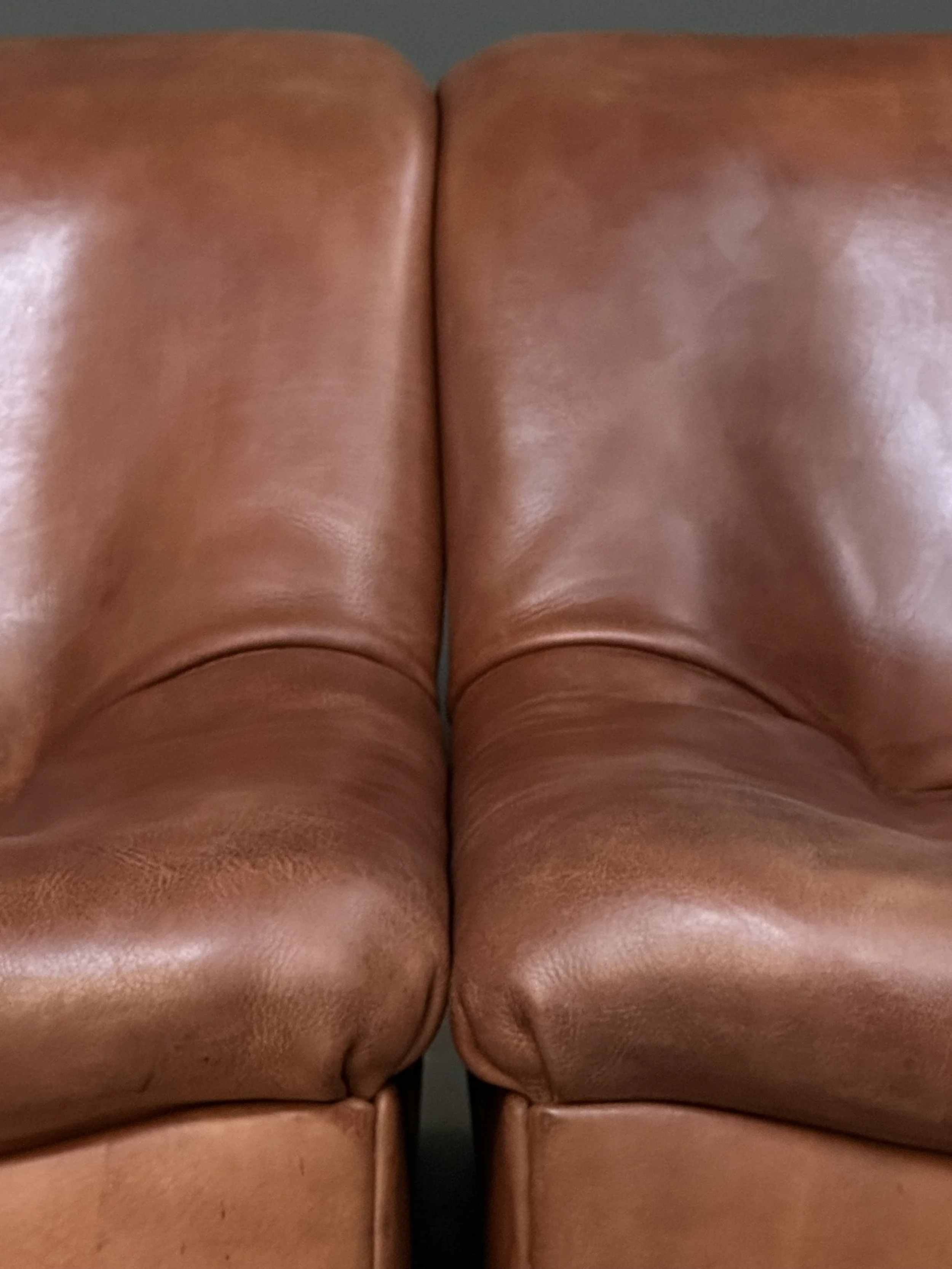 De Sede DS-46 Modular Sofa in Neck Leather foto 17
