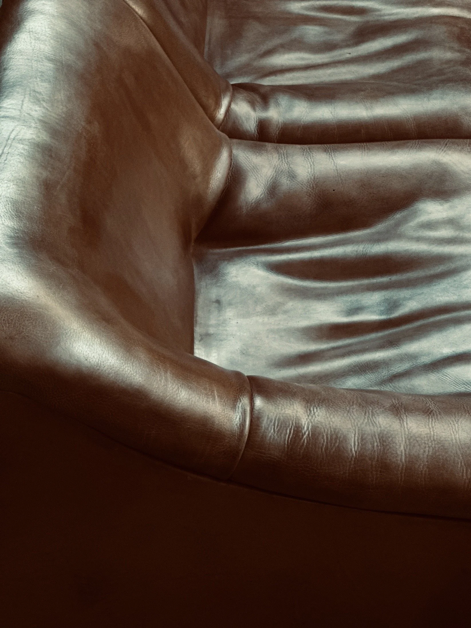 De Sede DS-46 Modular Sofa in Neck Leather foto 20
