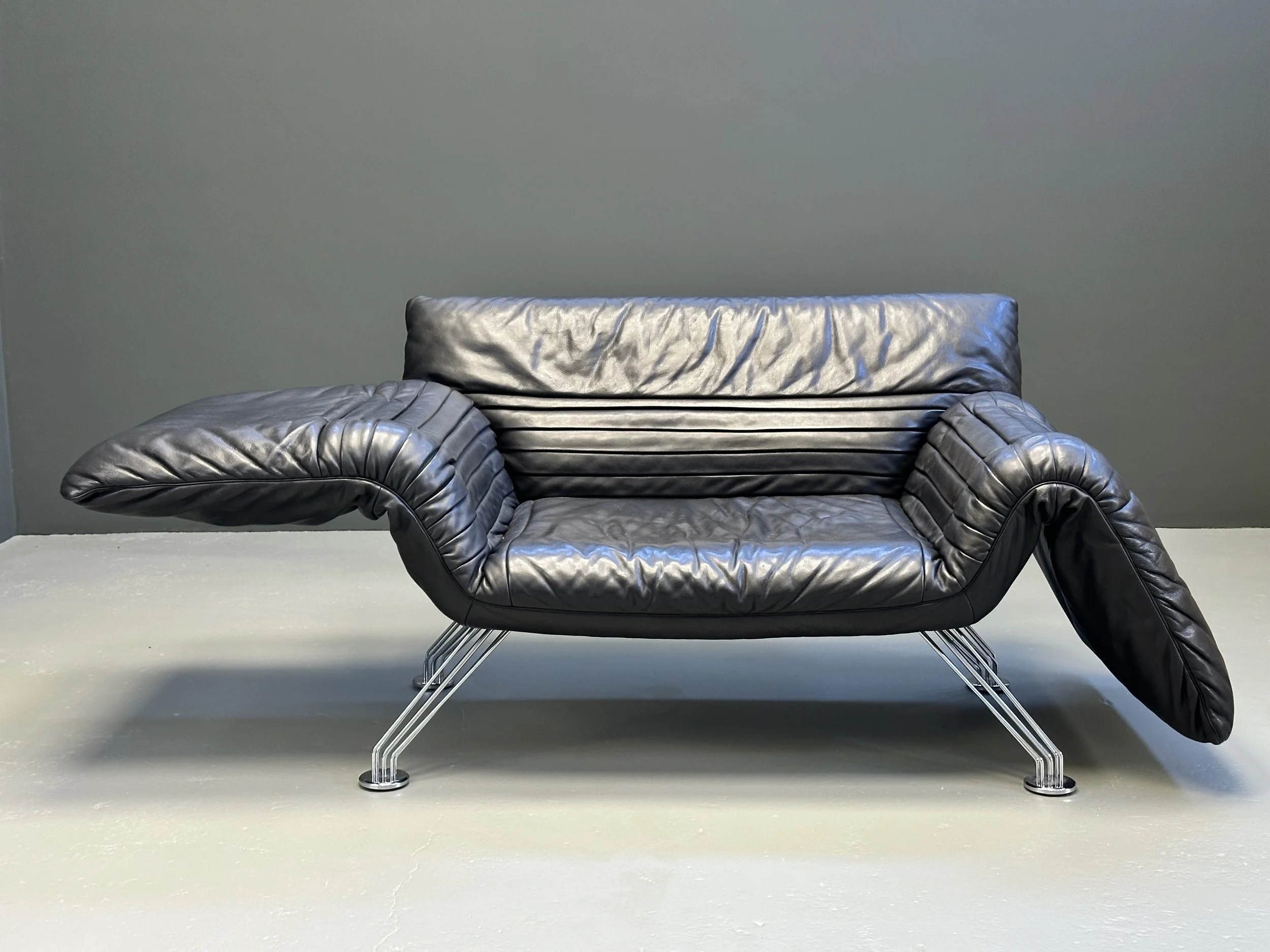 Winfried Totzek DS-142 Wing Chair for De Sede foto 3