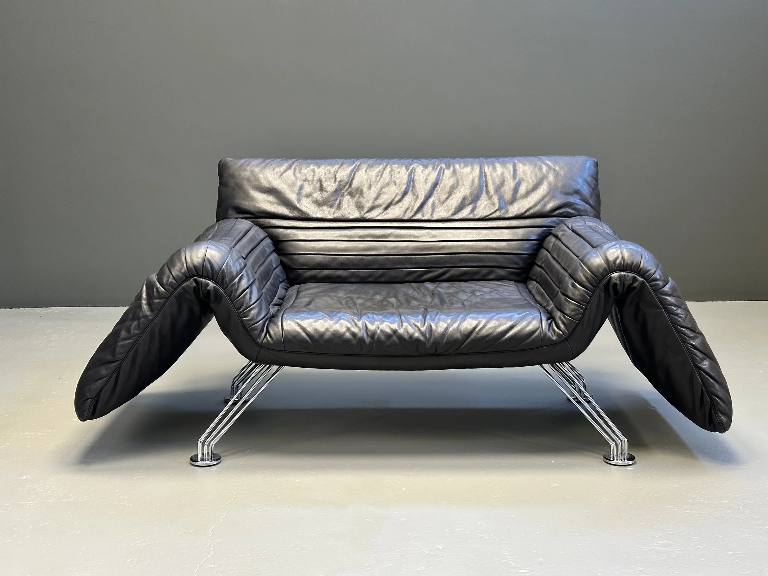 Winfried Totzek DS-142 Wing Chair for De Sede with Original Pillow foto 3