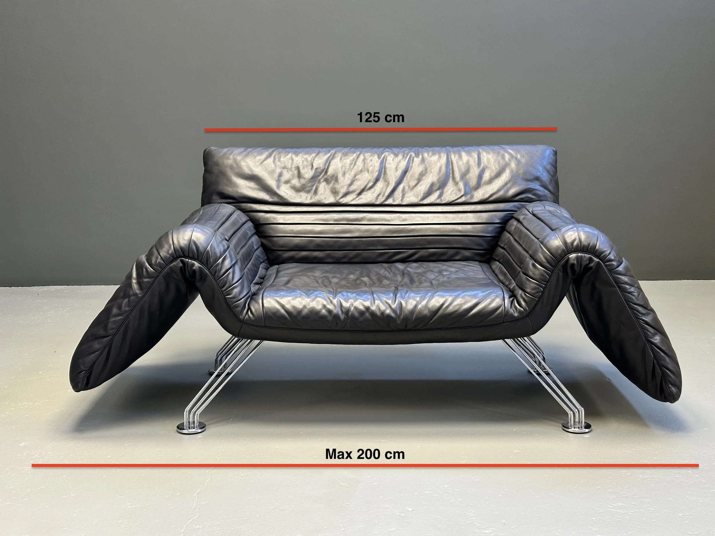 Winfried Totzek DS-142 Wing Chair for De Sede with Original Pillow foto 12