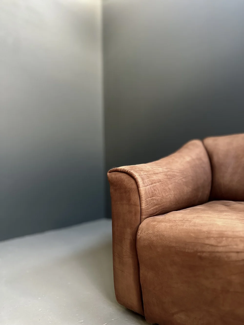 De Sede DS-47 Two-Seater Sofa in Bull Neck Leather foto 2