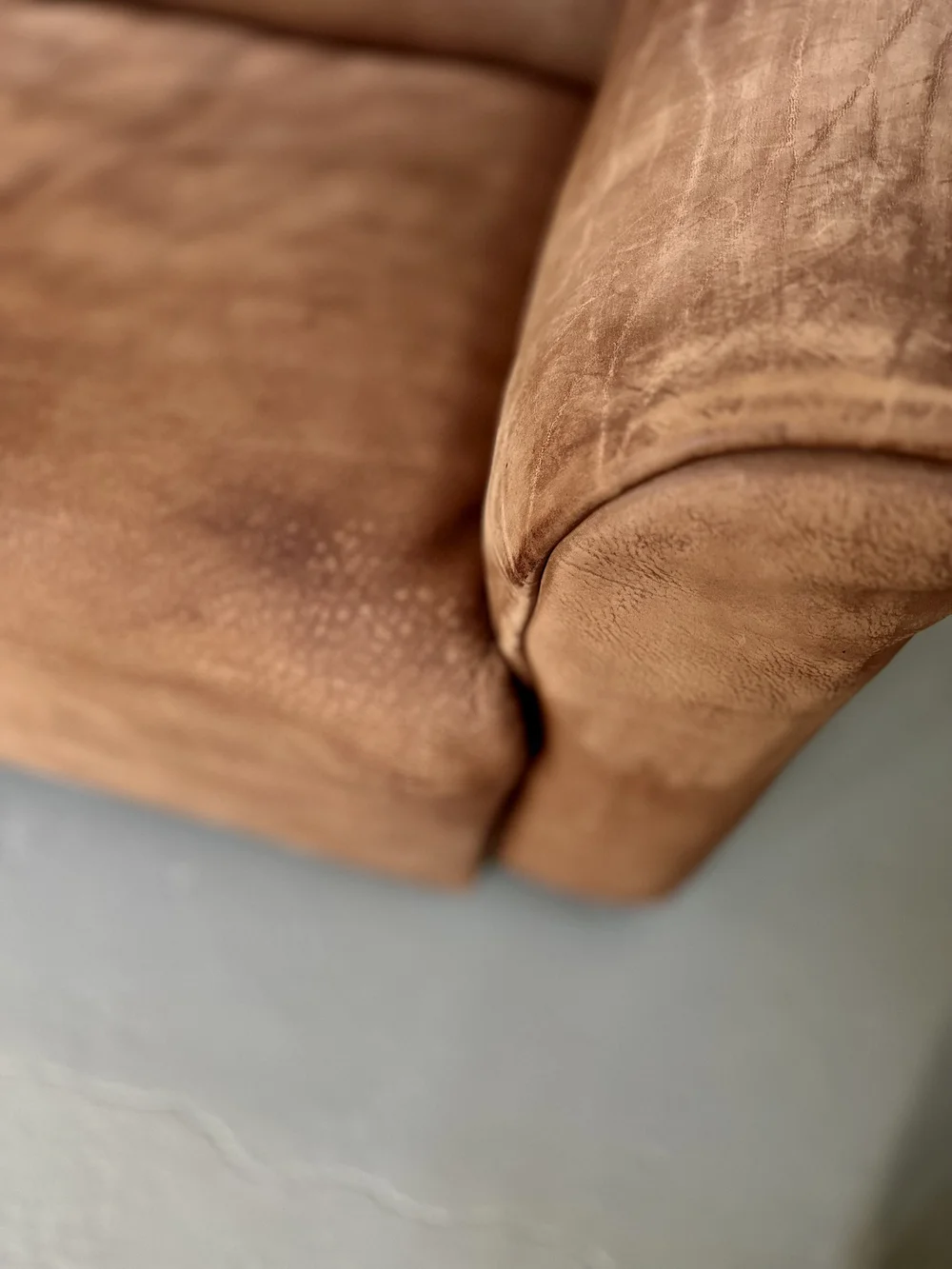De Sede DS-47 Two-Seater Sofa in Bull Neck Leather foto 3