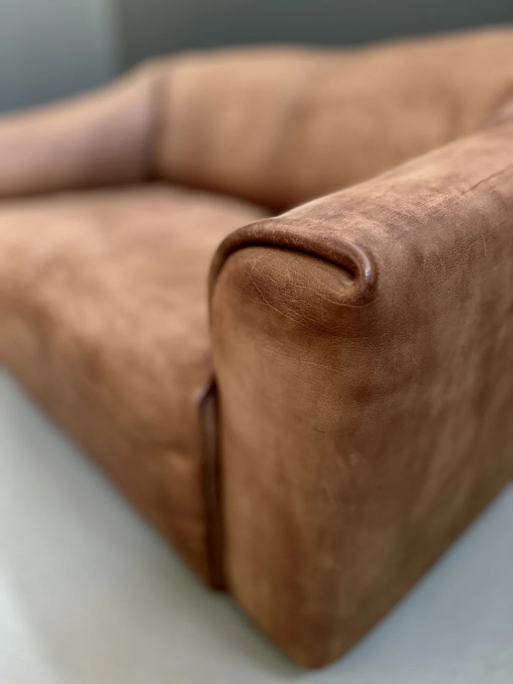 De Sede DS-47 Two-Seater Sofa in Bull Neck Leather foto 6