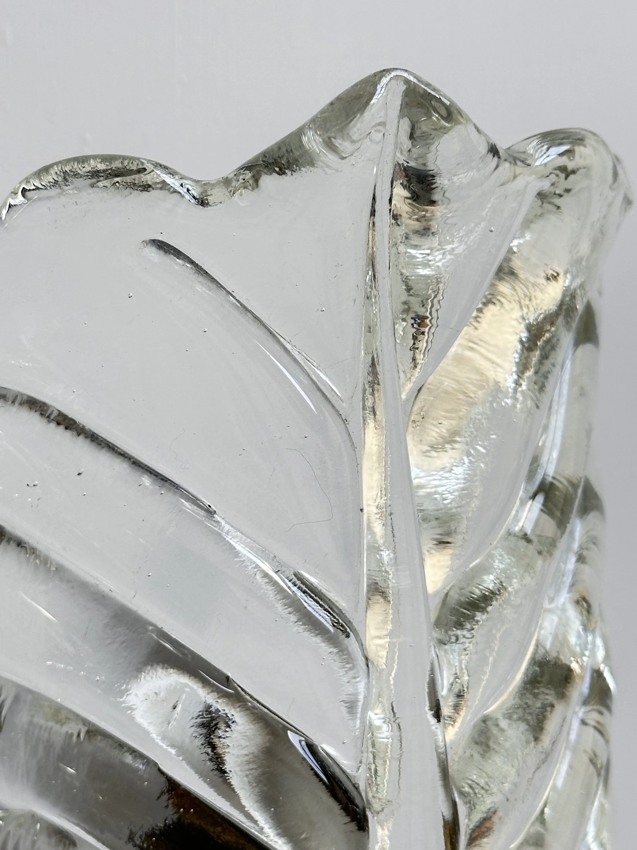 Murano Glass Wall Sconces with Rostrato Leaf Design foto 9