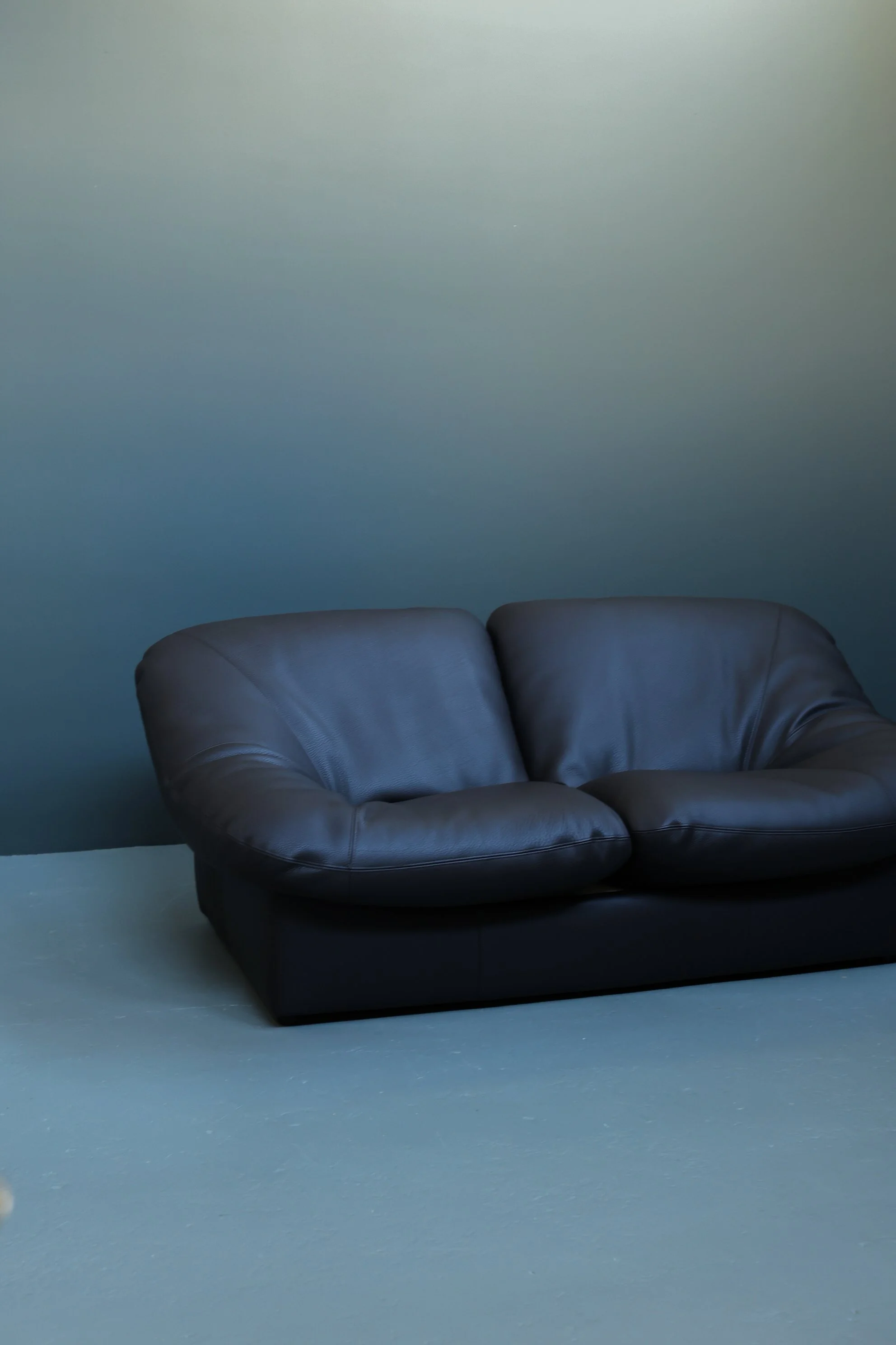 Leolux Model 785 Loveseat in Aniline Leather foto 2