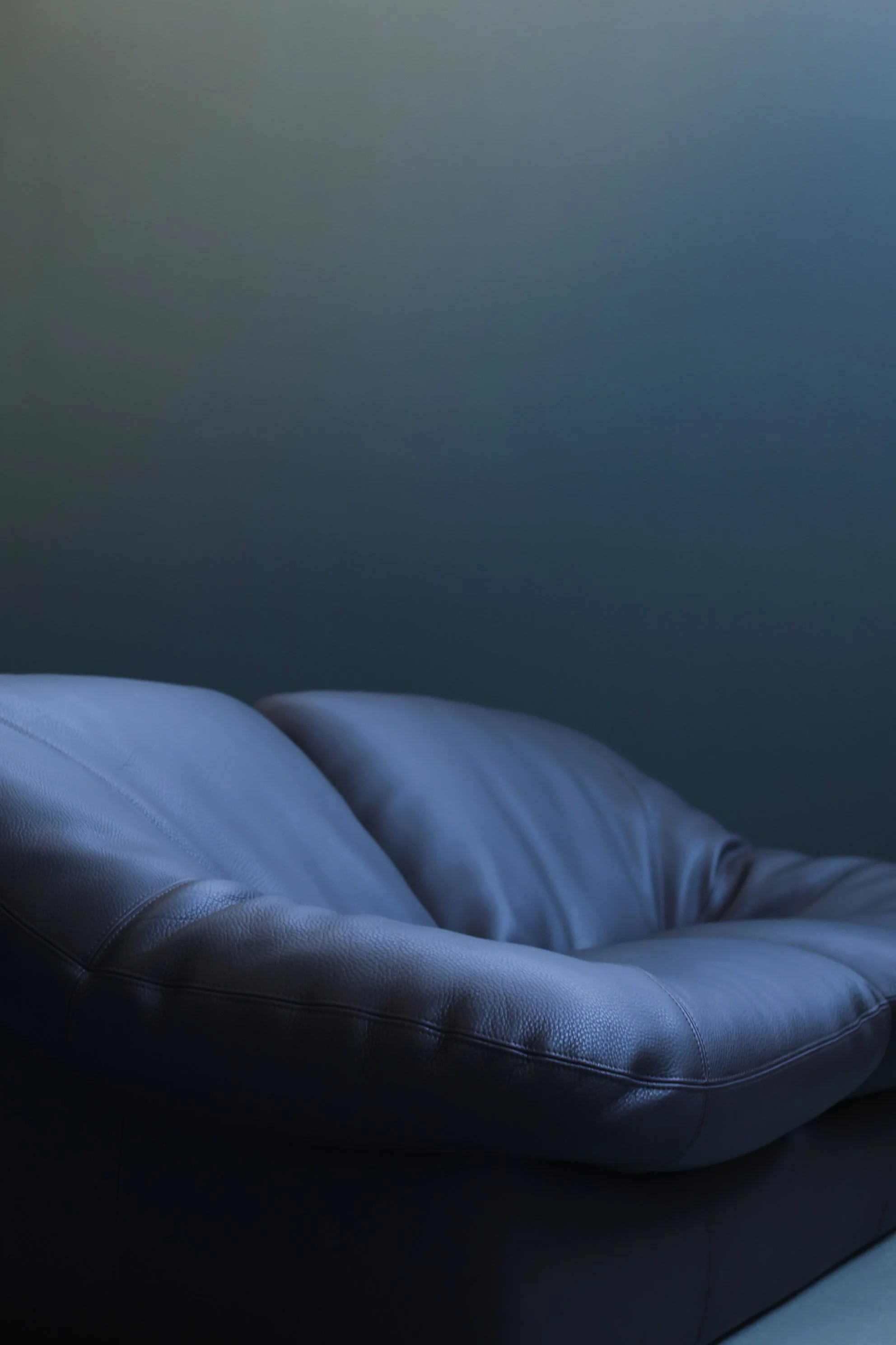 Leolux Model 785 Loveseat in Aniline Leather foto 3