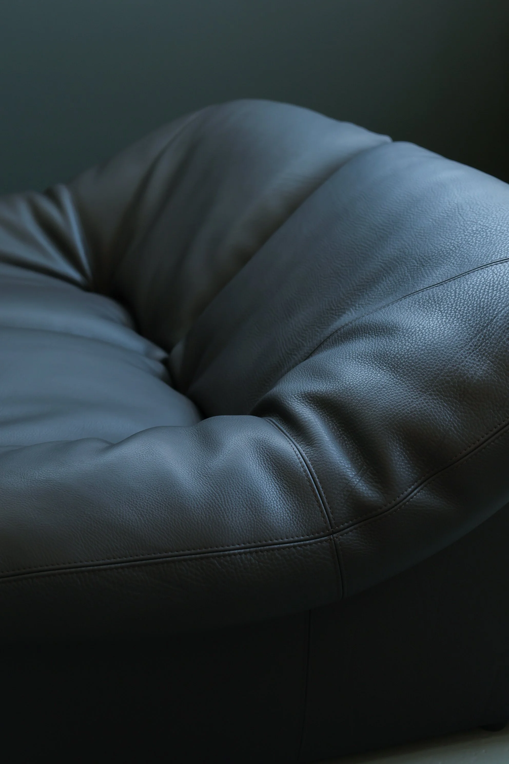 Leolux Model 785 Loveseat in Aniline Leather foto 4