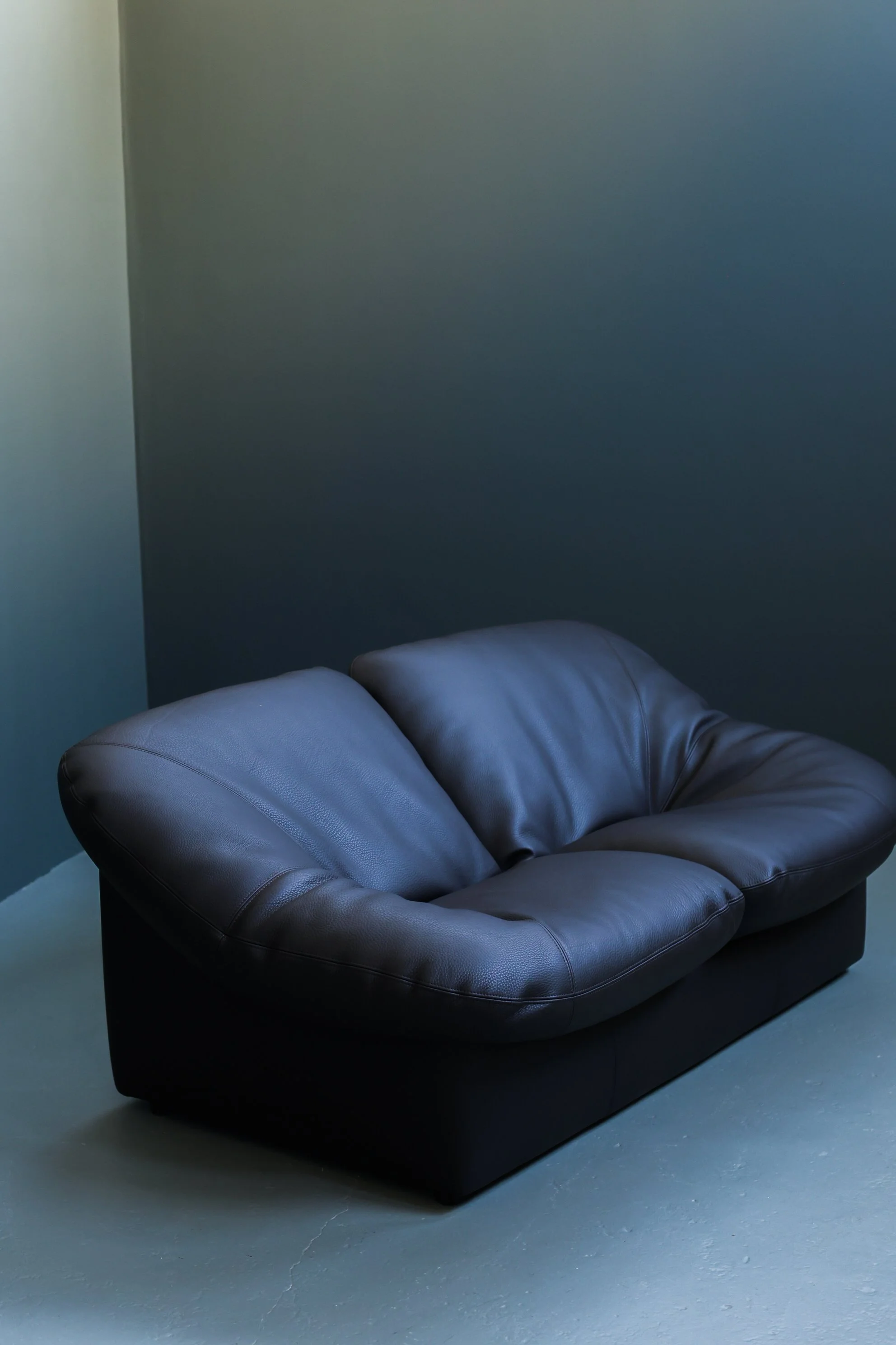 Leolux Model 785 Loveseat in Aniline Leather foto 5