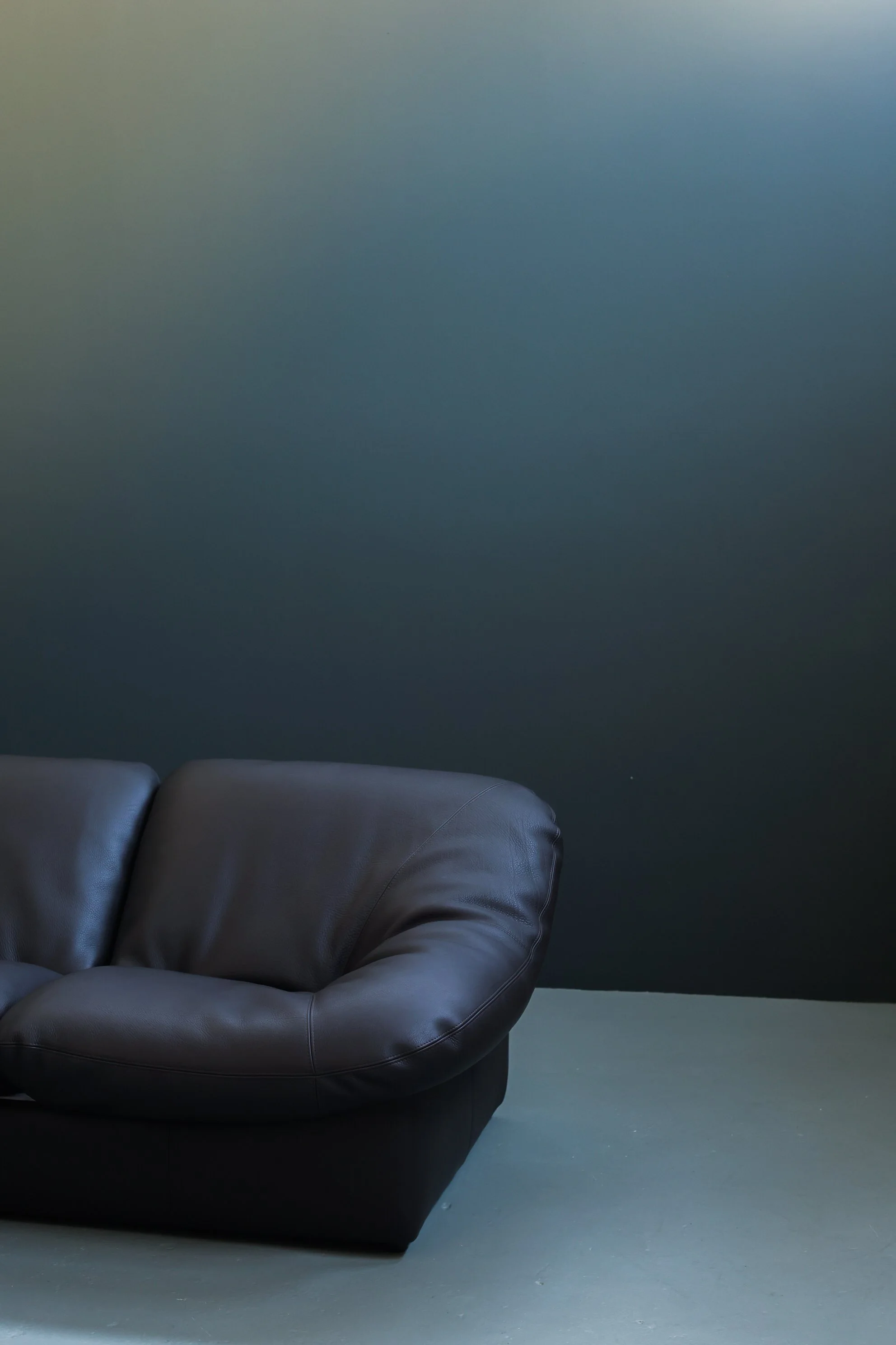 Leolux Model 785 Loveseat in Aniline Leather foto 12
