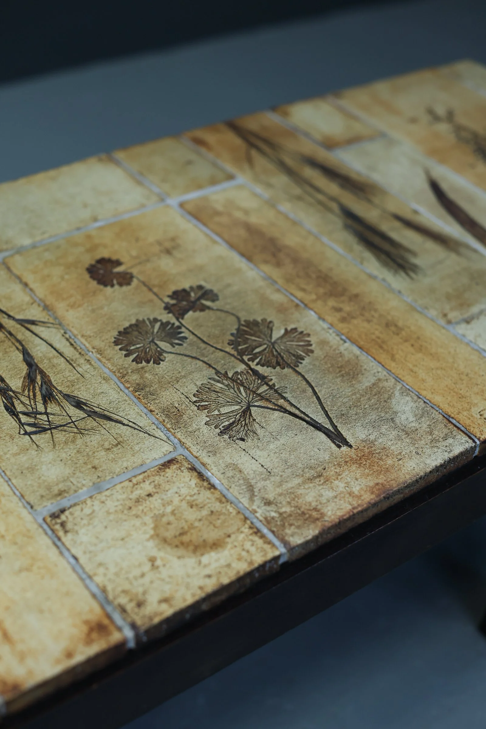 Roger Capron Herbarium Coffee Table foto 2