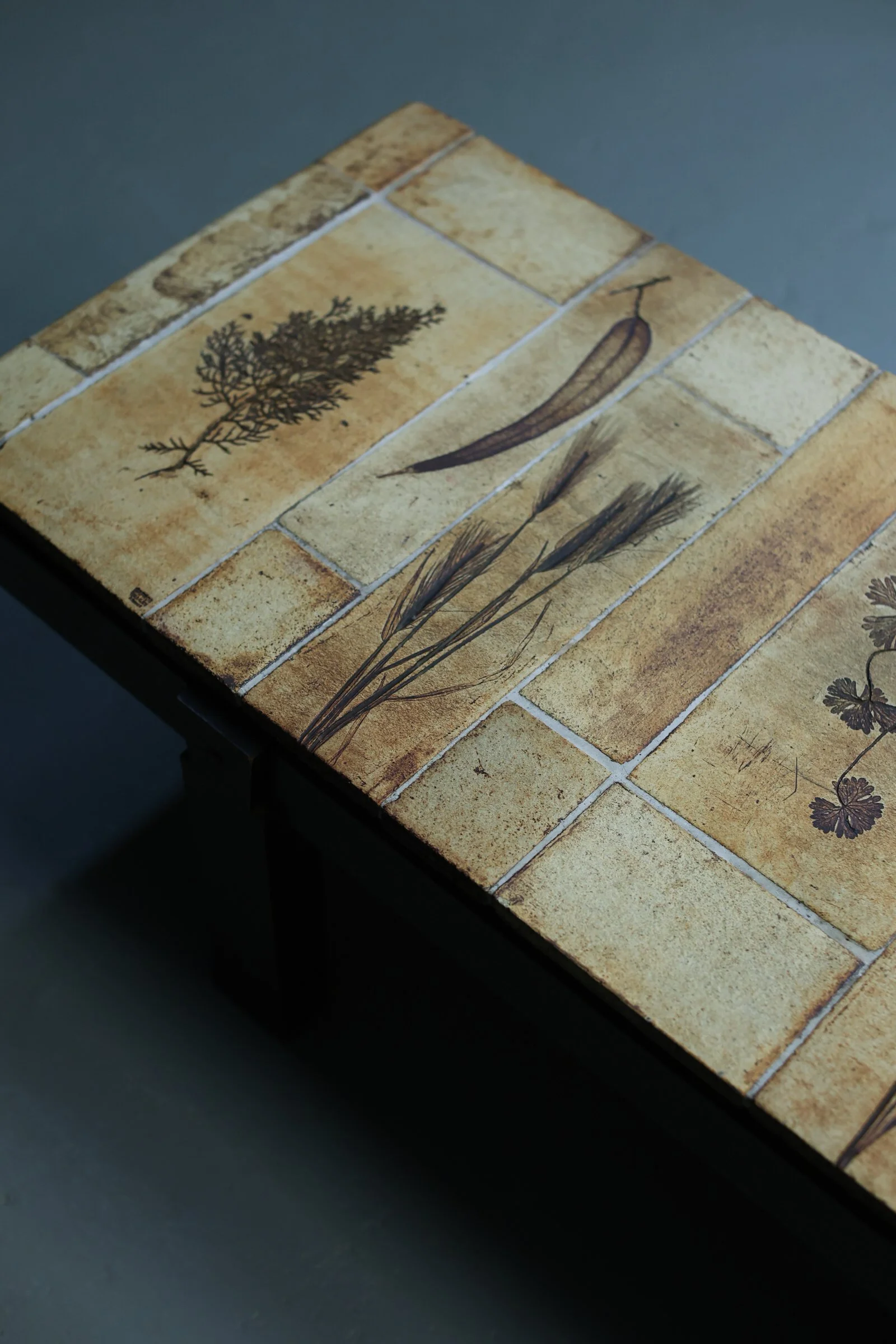 Roger Capron Herbarium Coffee Table foto 5
