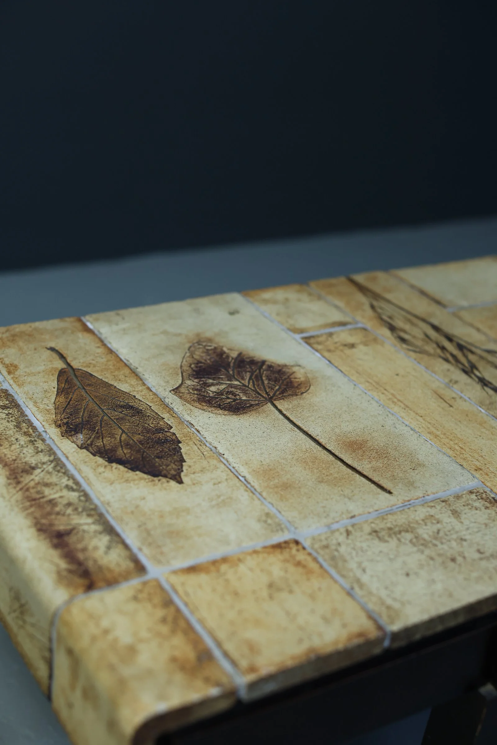 Roger Capron Herbarium Coffee Table foto 7