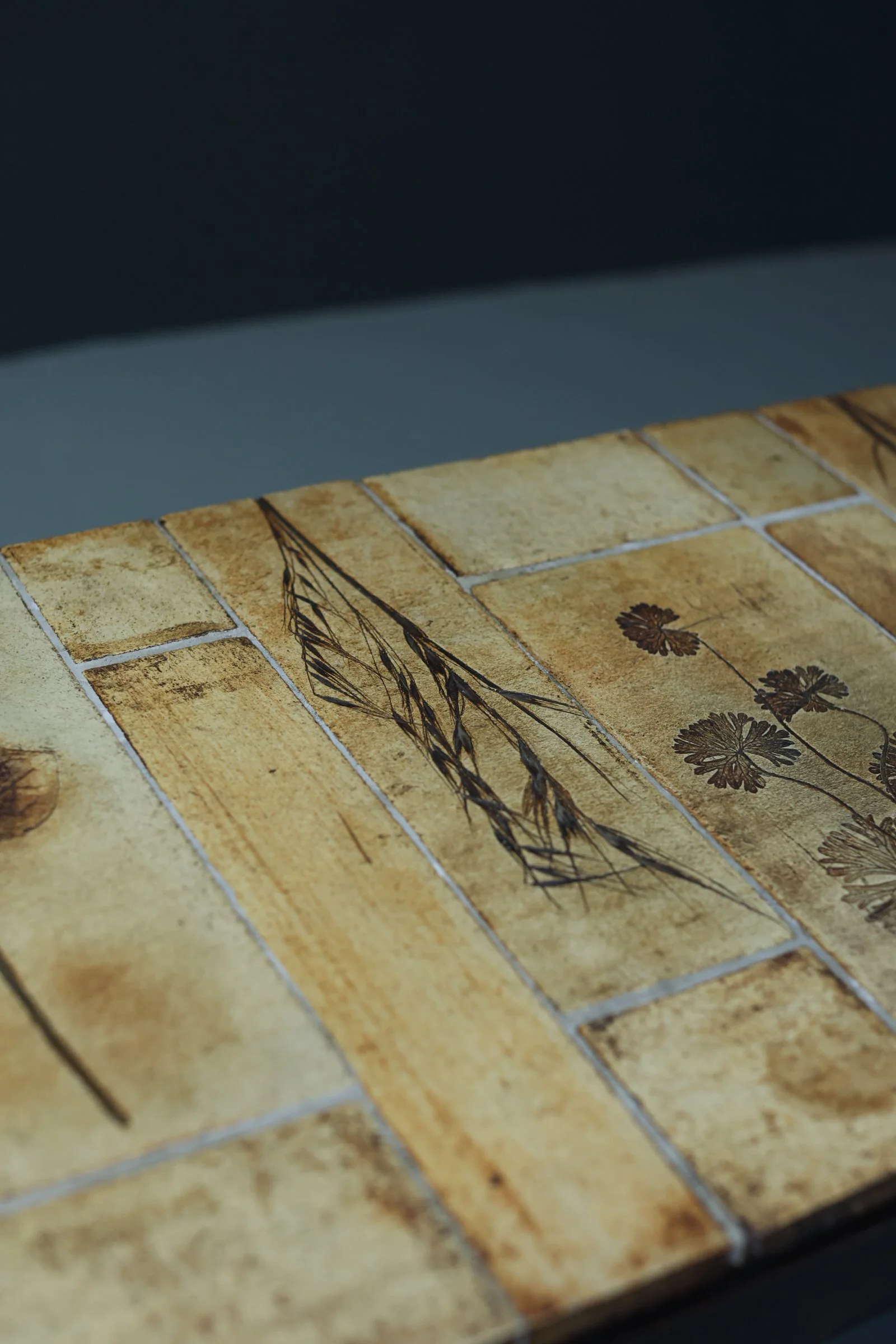 Roger Capron Herbarium Coffee Table foto 8