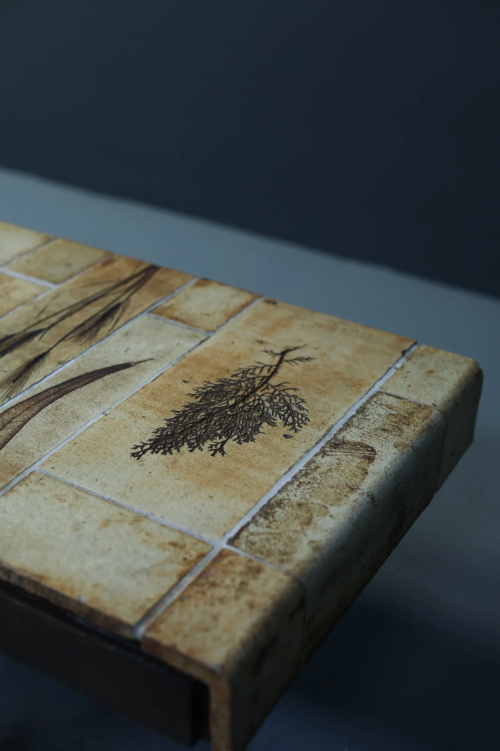 Roger Capron Herbarium Coffee Table foto 9