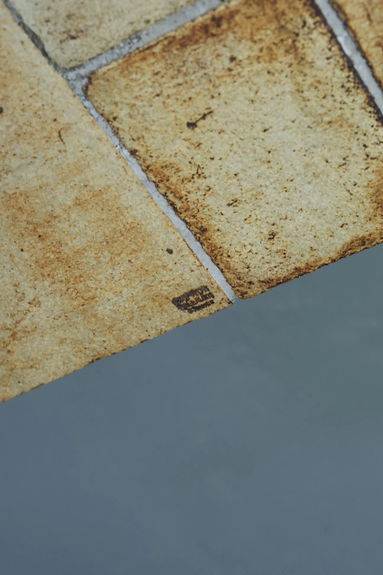 Roger Capron Herbarium Coffee Table foto 10