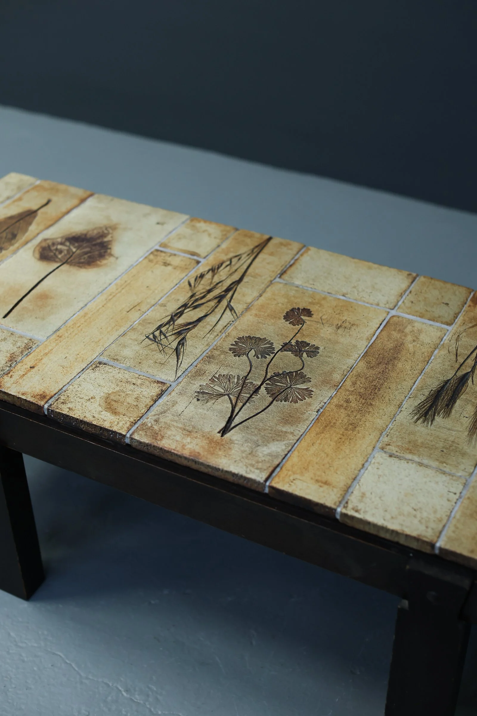 Roger Capron Herbarium Coffee Table foto 11