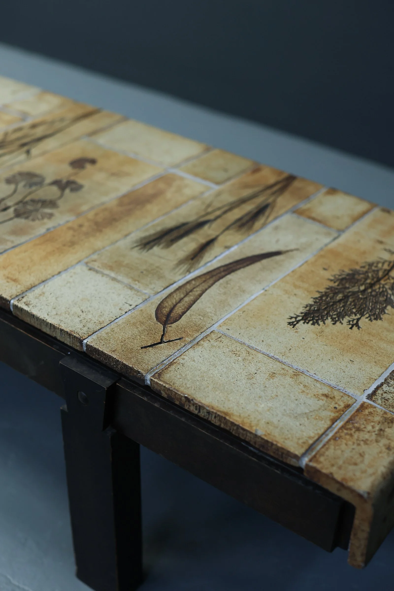 Roger Capron Herbarium Coffee Table foto 12