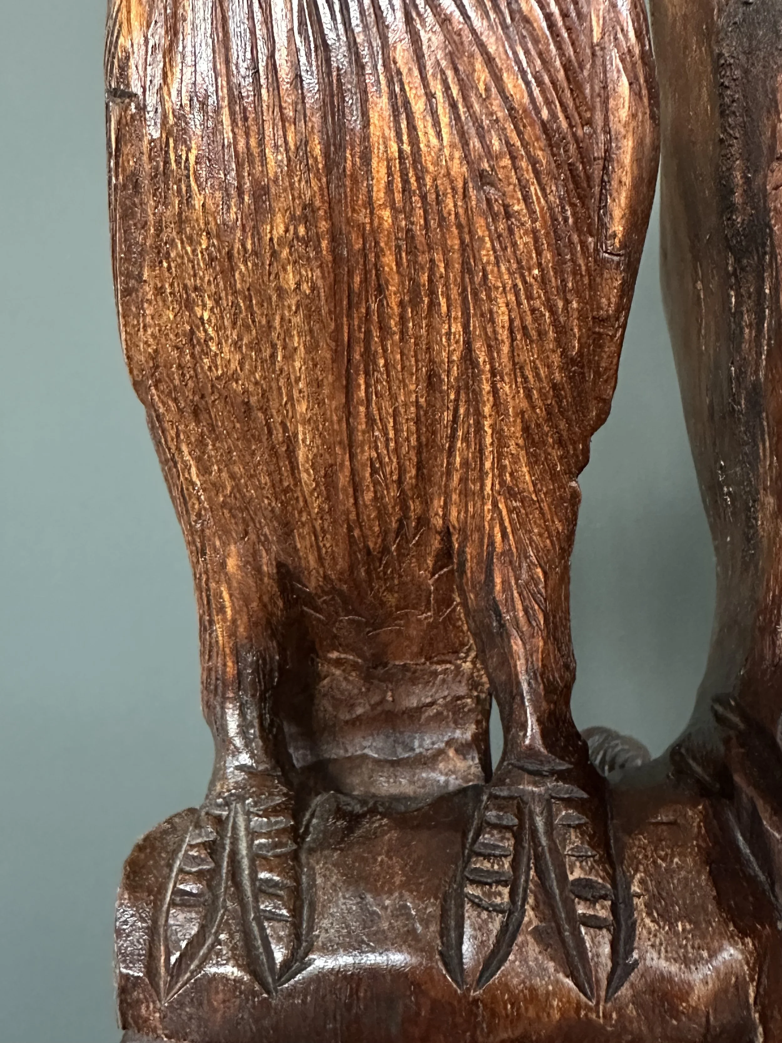 Swiss Hand-Carved Parrot Table Lamp, 1970s foto 3